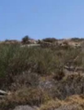 Land plot 6.700sqm for sale-Naxos - Drimalia » Lygaridia