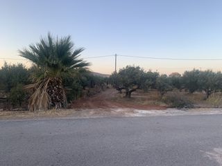 Οικόπεδο 1.510 τ.μ. για πώληση, Ν. Λασιθίου, Ίτανος-thumb-3