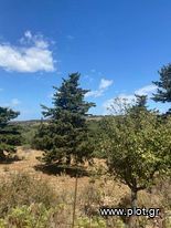 Land plot 3.545 sqm for sale, Chania Prefecture, Vamos