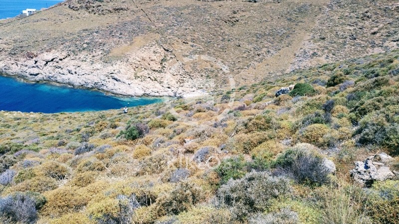Αγροτεμάχια 4.162 τ.μ. προς πώληση, Άγιος Δημήτριος Κύθνου