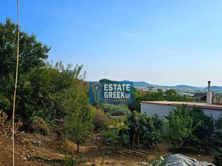 Οικόπεδο 750 τ.μ. για πώληση, Ν. Καβάλας, Ελευθερές-thumb-8
