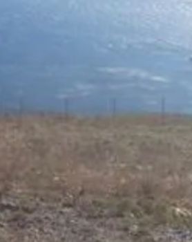 Οικόπεδο 11.000τ.μ. για πώληση-Κύθνος » Πετρούσα