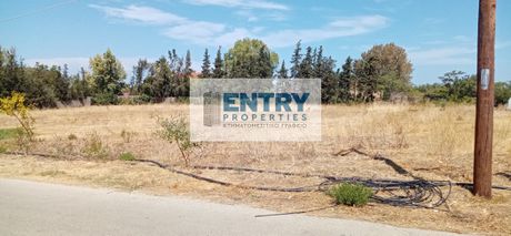 Land plot 6.000sqm for sale-Kentro » Omonoia
