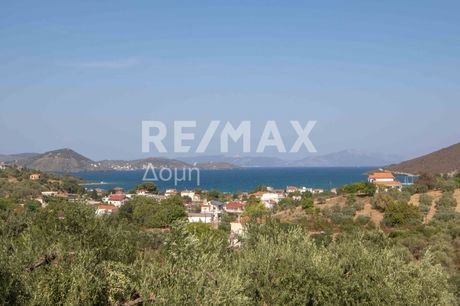 Parcel 4.429sqm for sale-Pteleos » Achilleio
