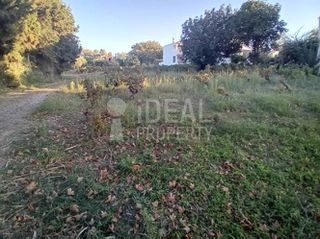 Οικόπεδο 3.555 τ.μ. πρός πώληση, Αχαΐα, Αιγιάλεια-thumb-6