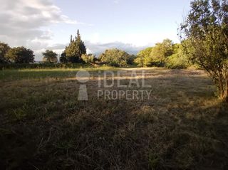 Οικόπεδο 3.555 τ.μ. πρός πώληση, Αχαΐα, Αιγιάλεια-thumb-1