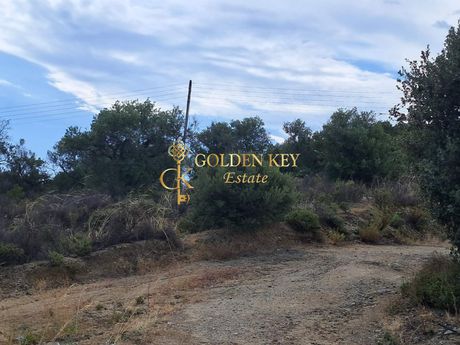 Parcel 10.000sqm for sale-Eleitheres » Paralia Elaiochoriou