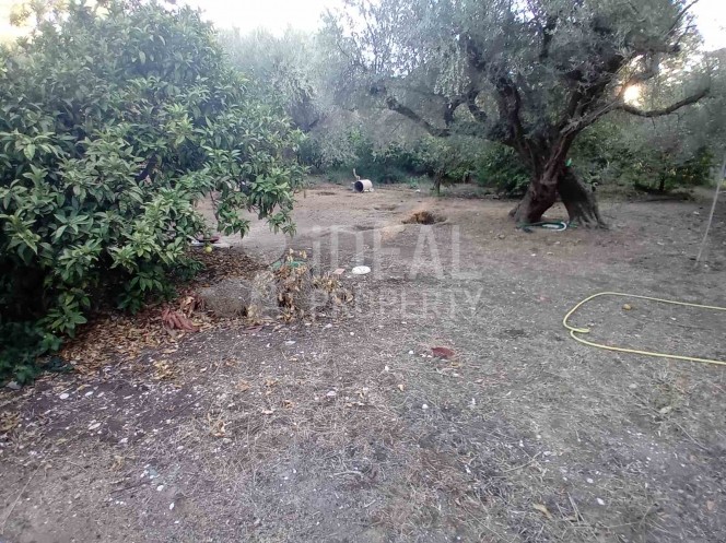 Land plot 600 sqm for sale, Achaia, Egialia