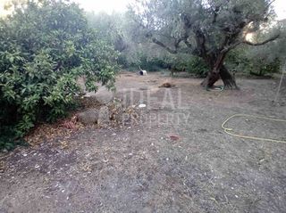 Οικόπεδο 600 τ.μ. για πώληση, Αχαΐα, Αιγιάλεια-thumb-4