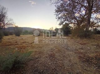 Οικόπεδο 4.000 τ.μ. για πώληση