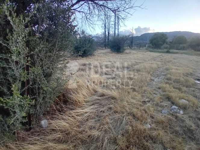 Οικόπεδο 4.000 τ.μ. προς πώληση, Αχαΐα, Αιγιάλεια