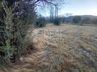 Οικόπεδο 4.000 τ.μ. για πώληση, Αχαΐα, Αιγιάλεια-thumb-4