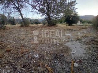 Οικόπεδο 4.000 τ.μ. για πώληση, Αχαΐα, Αιγιάλεια-thumb-6