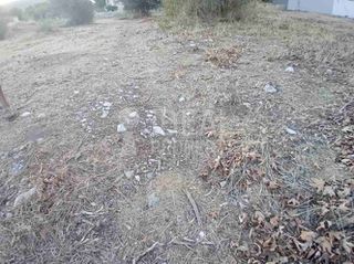 Οικόπεδο 4.000 τ.μ. για πώληση, Αχαΐα, Αιγιάλεια-thumb-8