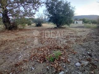Οικόπεδο 4.000 τ.μ. για πώληση, Αχαΐα, Αιγιάλεια-thumb-5