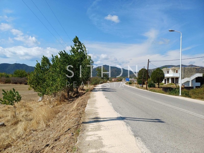 Αγροτεμάχια 1.592 τ.μ. προς πώληση, Συκιά Τορώνης