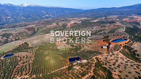 Parcel 160.000sqm for sale-Poligiros » Skala Gerakinis