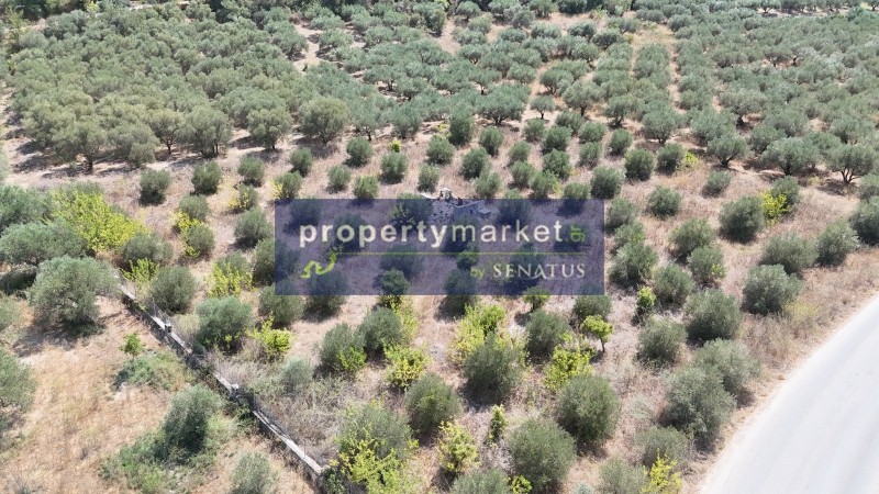 Οικόπεδο 4.000 τ.μ. προς πώληση, Καλύβες Αρμενών