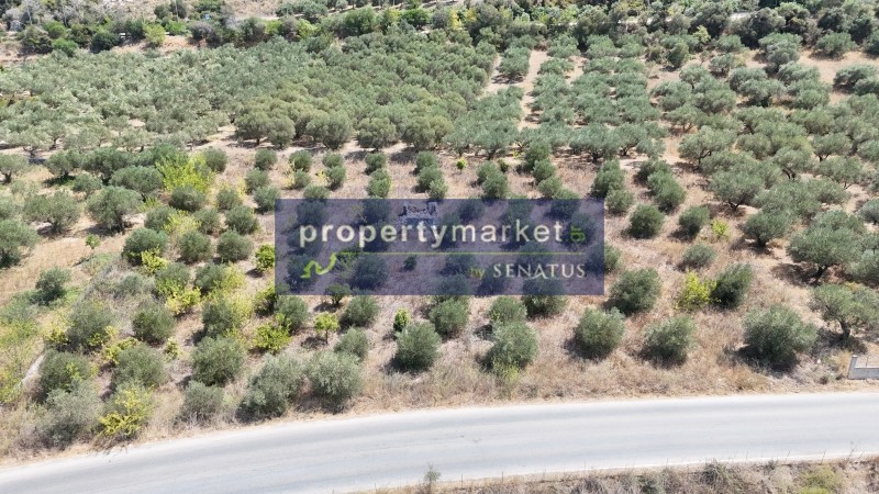 Οικόπεδο 4.000 τ.μ. προς πώληση, Καλύβες Αρμενών