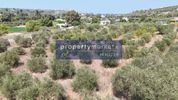 Land plot 4.000sqm for sale-Armenoi » Kalives