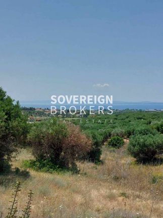 Parcel 12.150 sqm for sale, Chalkidiki, Poligiros