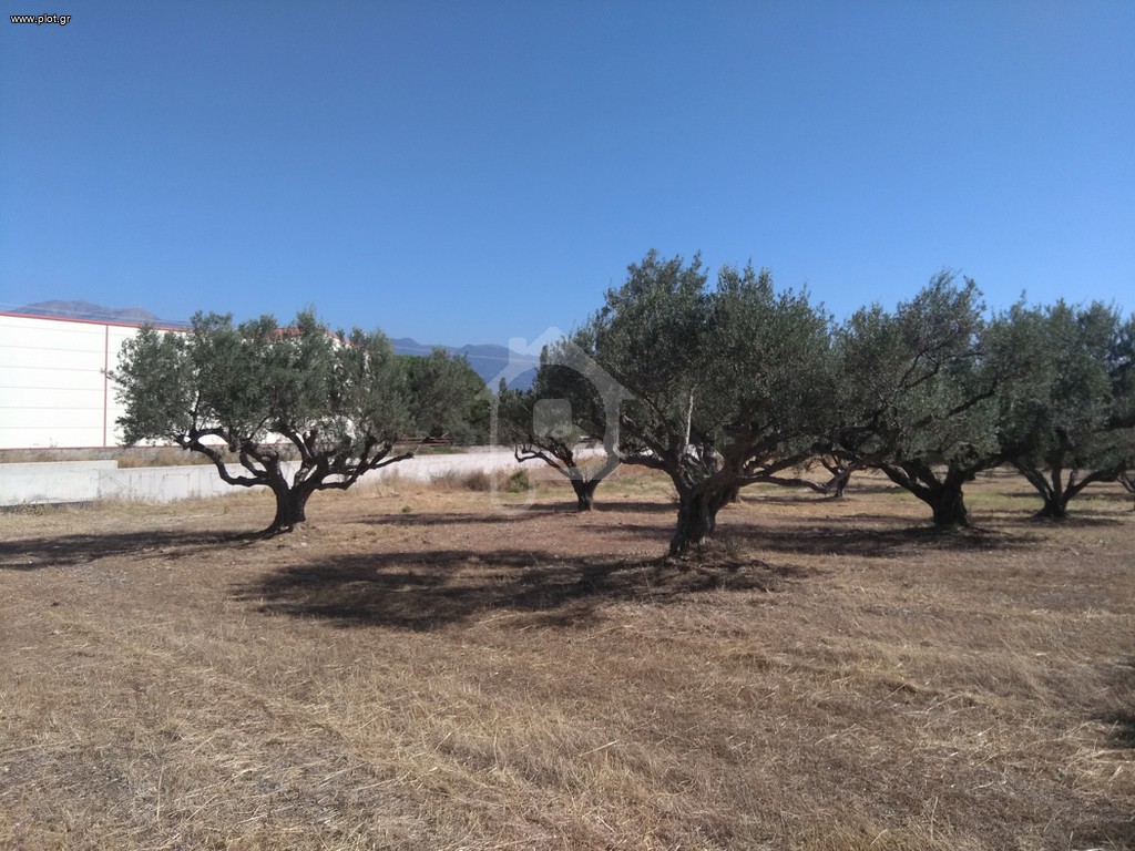 Αγροτεμάχια 5.100 τ.μ. προς πώληση, Ομόνοια Αθήνας