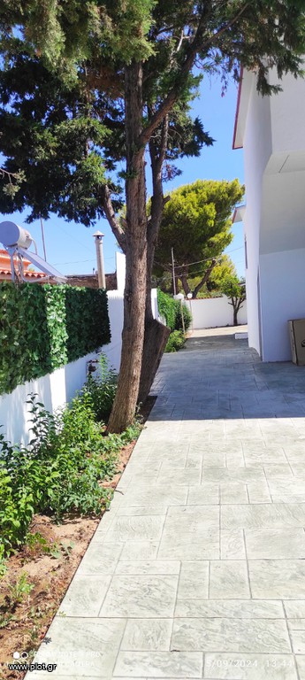 Μονοκατοικία 195 τ.μ. πρός ενοικίαση, Αθήνα - Ανατολικά Προάστια, Σπάτα