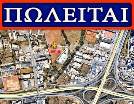 Αγροτεμάχια 11.500τ.μ. για πώληση-Ευκαρπία » Κέντρο