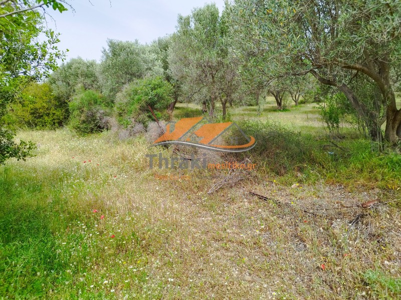 Αγροτεμάχια 7.500 τ.μ. προς πώληση, Νέα Χιλή