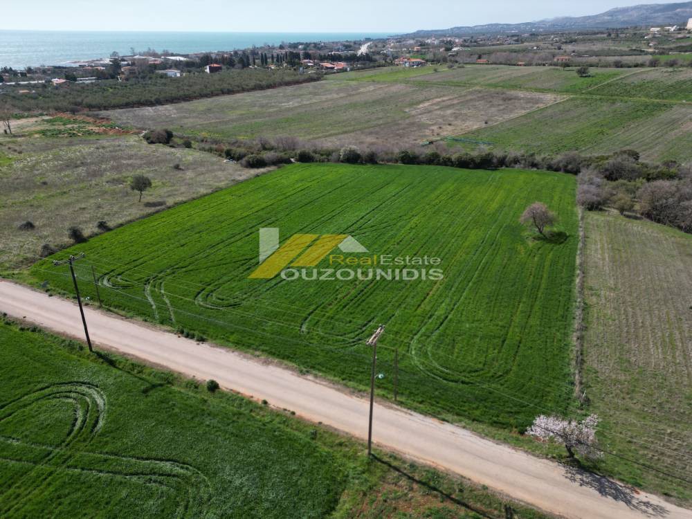 Οικόπεδο 1.500 τ.μ. πρός πώληση, Εβρος, Αλεξανδρούπολη