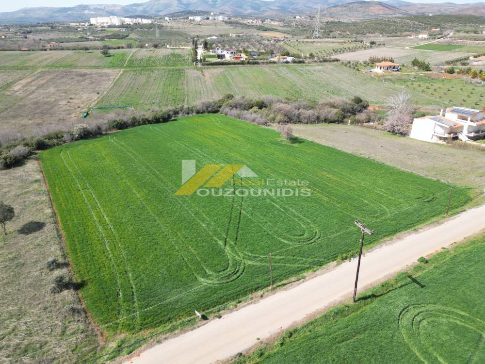 Οικόπεδο 1.500 τ.μ. πρός πώληση, Εβρος, Αλεξανδρούπολη