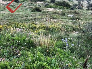 Οικόπεδο 175 τ.μ. για πώληση