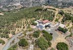 Parcel 35.000sqm for sale-Lampi » Spili