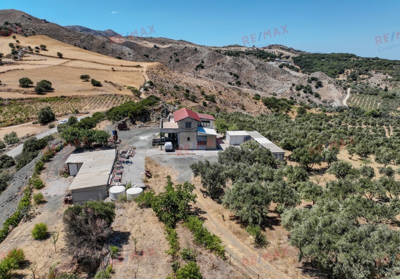 Αγροτεμάχια 35.000 τ.μ. πρός πώληση, Ν. Ρεθύμνου, Λάμπη