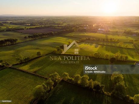 Parcel 3.000sqm for sale-Chortiatis » Center