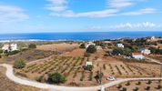 Land plot 4.819sqm for sale-Rethimno » Somatas