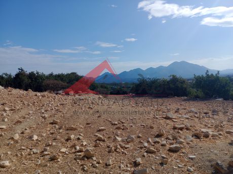 Parcel 12.000sqm for sale-Geropotamos » Alfa