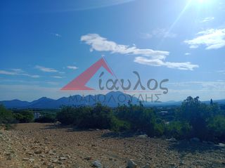 Αγροτεμάχια 12.000 τ.μ. για πώληση, Ν. Ρεθύμνου, Γεροπόταμος-thumb-2