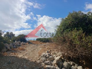 Αγροτεμάχια 12.000 τ.μ. για πώληση, Ν. Ρεθύμνου, Γεροπόταμος-thumb-4