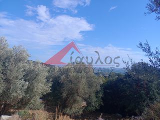 Αγροτεμάχια 12.000 τ.μ. για πώληση, Ν. Ρεθύμνου, Γεροπόταμος-thumb-8