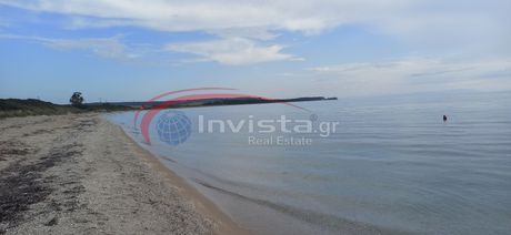 Αγροτεμάχια 12.600τ.μ. για πώληση-Κασσάνδρα » Σανή