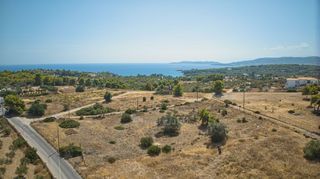 Αγροτεμάχια 4.572 τ.μ. για πώληση