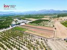 Land plot 5.846sqm for sale-Mycenae