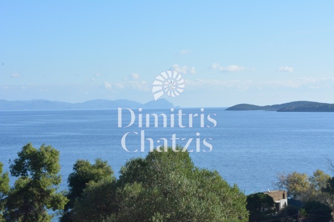 Αγροτεμάχια 5.238 τ.μ. πρός πώληση, Χαλκιδική, Παλλήνη