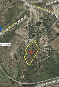 Αγροτεμάχια 4.000 τ.μ. για πώληση