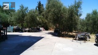 Οικόπεδο 6.000 τ.μ. για πώληση, Αχαΐα, Μεσσατίδα-thumb-23