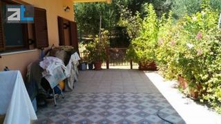 Οικόπεδο 6.000 τ.μ. για πώληση, Αχαΐα, Μεσσατίδα-thumb-7