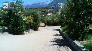 Οικόπεδο 6.000 τ.μ. για πώληση, Αχαΐα, Μεσσατίδα-thumb-24
