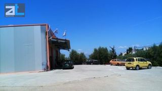 Οικόπεδο 6.000 τ.μ. για πώληση, Αχαΐα, Μεσσατίδα-thumb-6