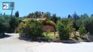 Οικόπεδο 6.000 τ.μ. για πώληση, Αχαΐα, Μεσσατίδα-thumb-15
